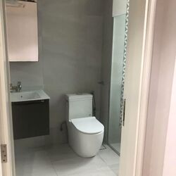 The Hermitage (D10), Apartment #563157101
